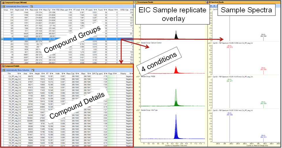 Four windows summarize all the feature
            extraction results