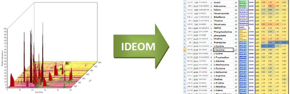 IDEOM Image