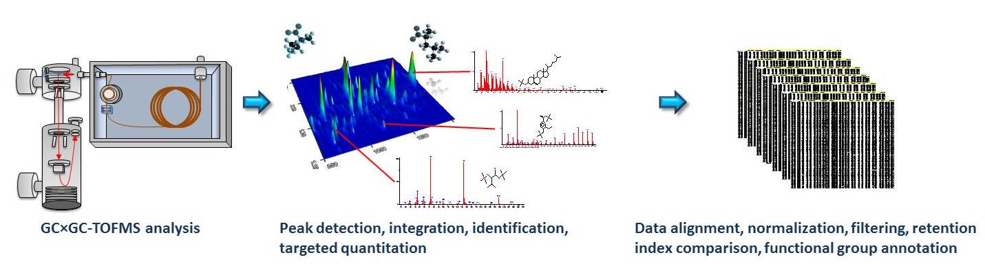 Typical GC×GC-TOFMS metabolic profiling workflow