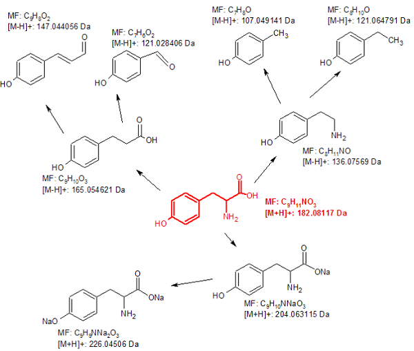 Figure 4B