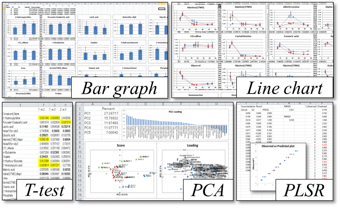 Overview of the Excel-based statistical analysis
        platform