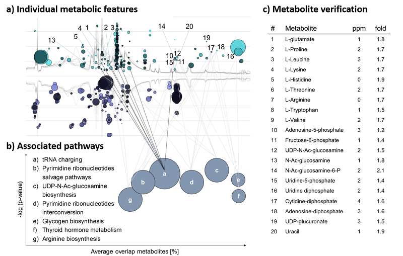 Metabolic
                                                          pathway
                                                          analysis