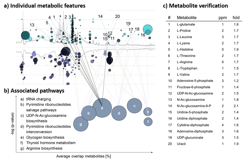 Metabolic
                                                          pathway
                                                          analysis