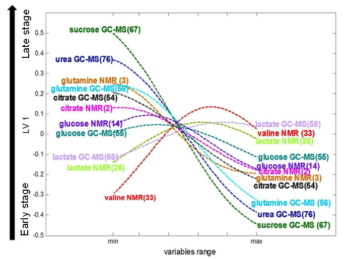 Loading plot of
        pseudo-samples trajectories for selected NMR and GC-MS
        variables