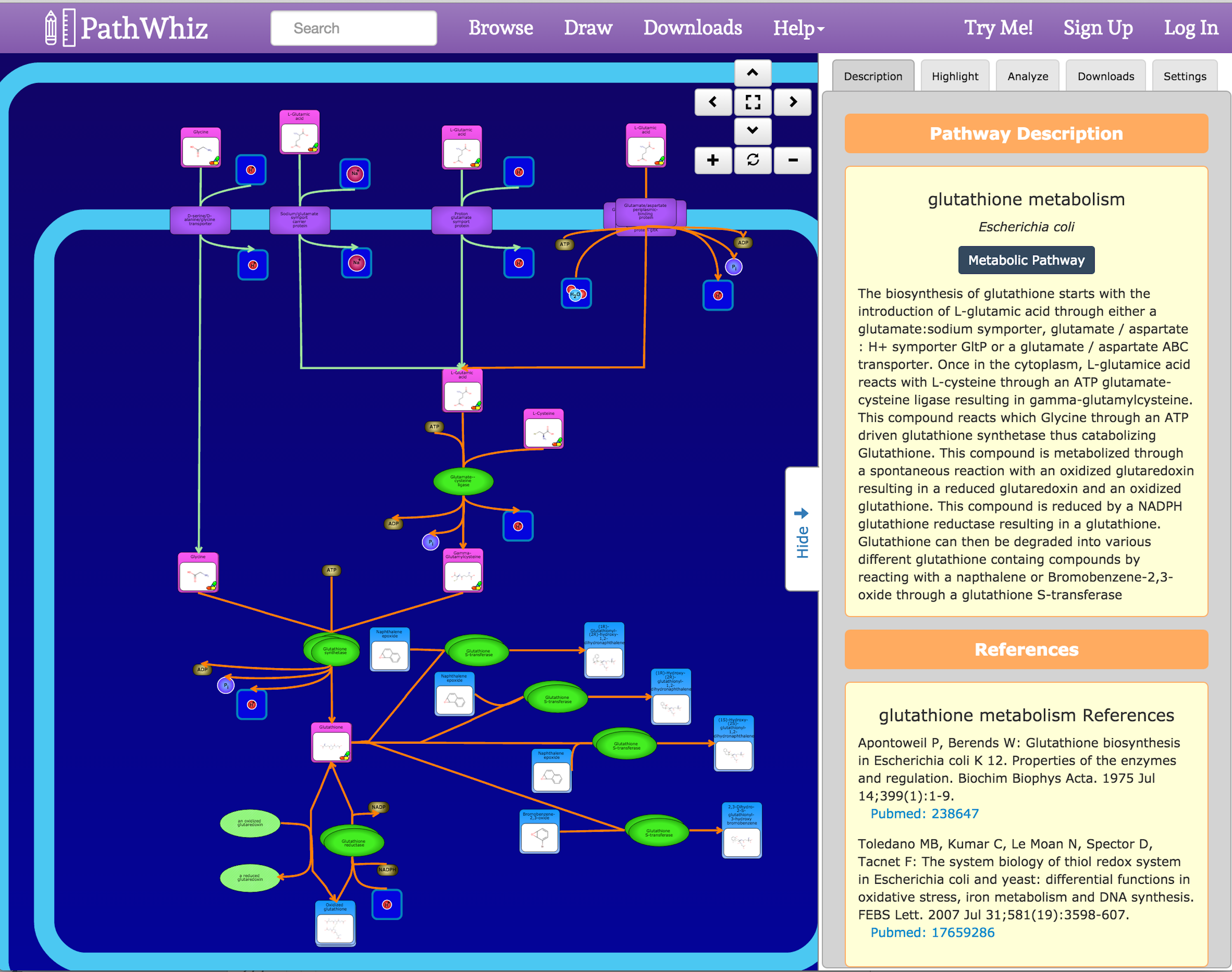 Snapshot of the

          PathWhiz tool