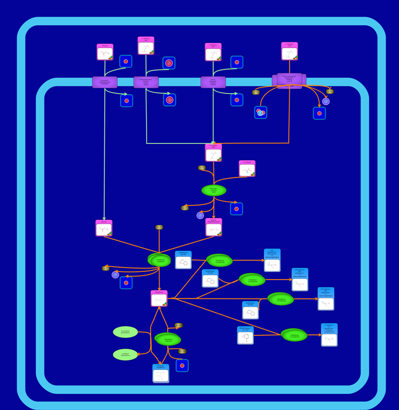 PNG image of glutathione metabolism in E. coli