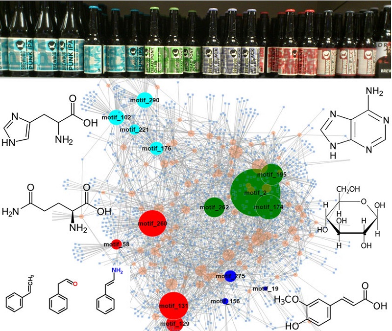 Network representation of decomposed fragmentation

              data of beer extract