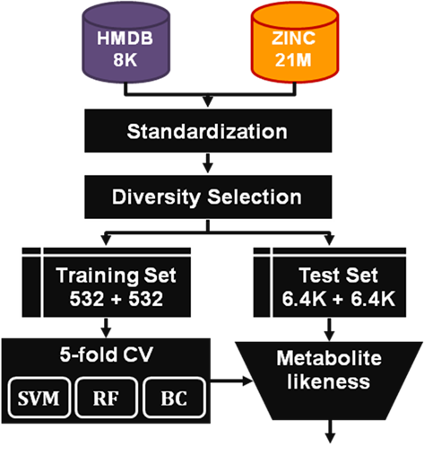 Model building workflow Model building workflow