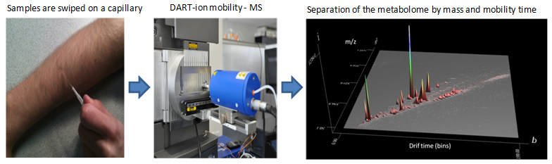 Rapid
              screening of metabolites