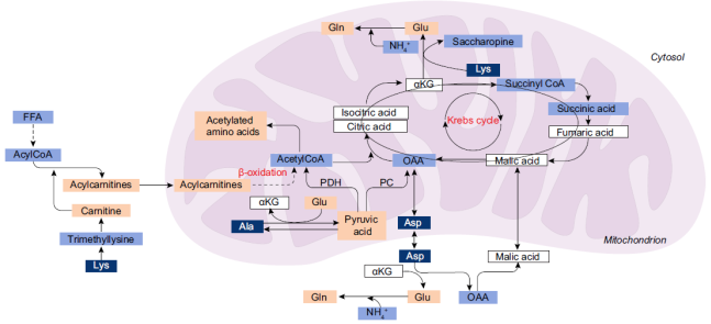 Collaboration
















                                                          with clinical
                                                          teams for
                                                          disease
                                                          biomarkers
                                                          discovery