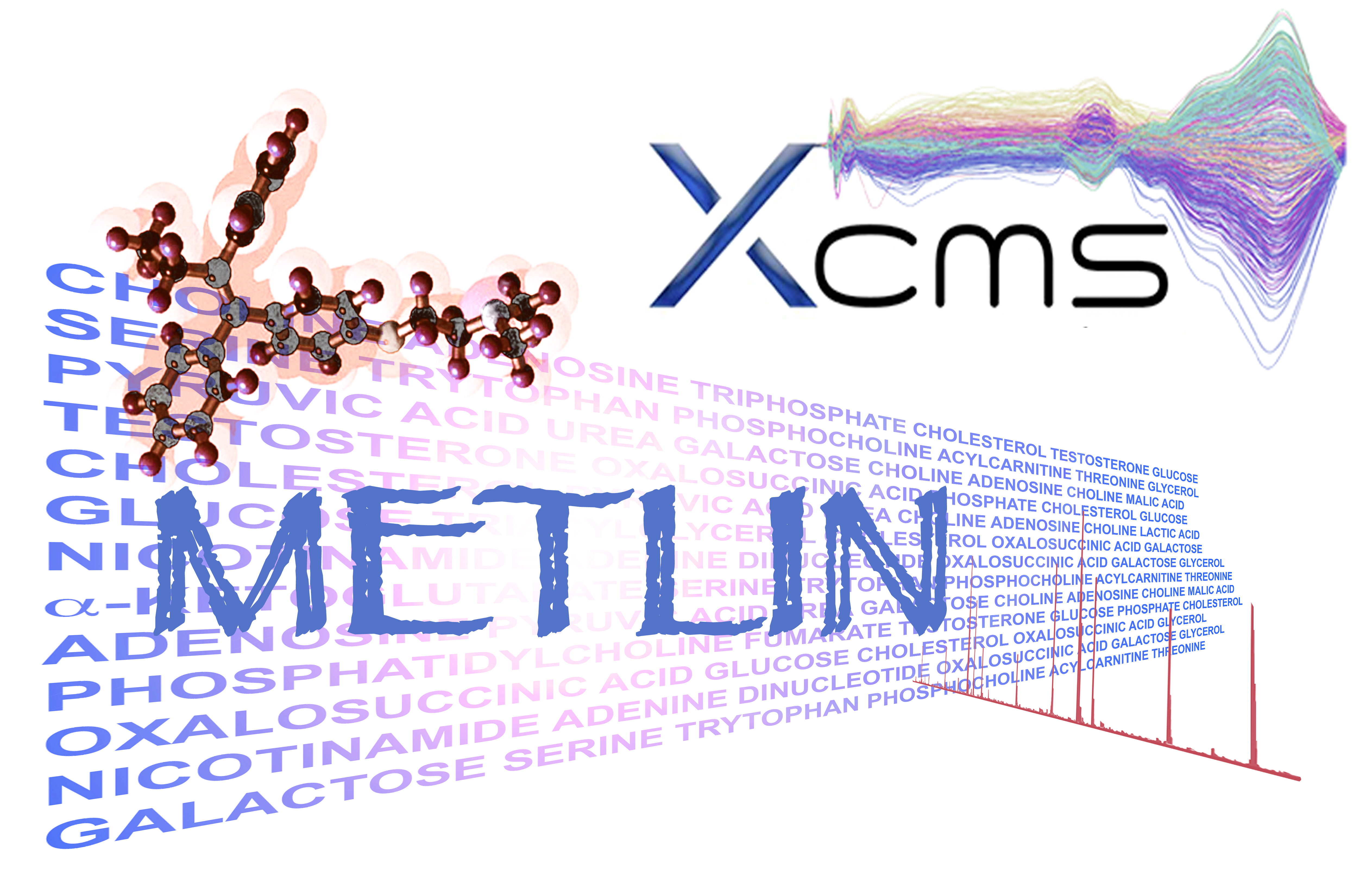 Metline
              XCMS Logo