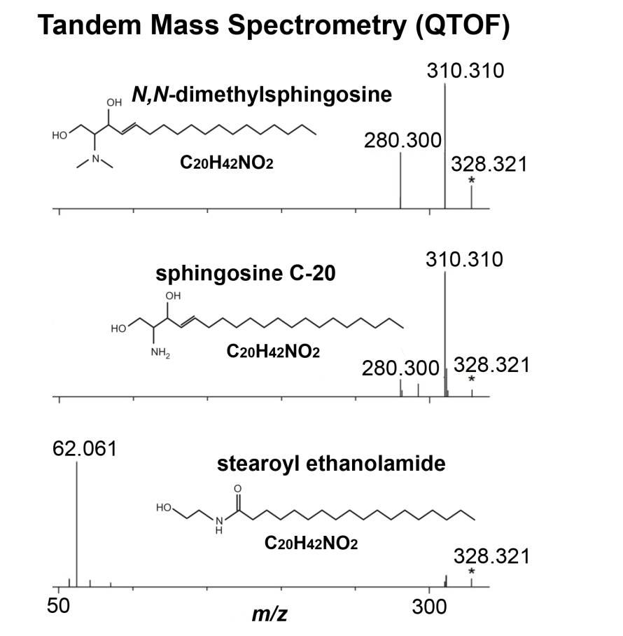 Tandem MS data used to distinguish
          dimethylsphingosine (DMS), sphingosine C-20, & stearoyl
          acethanolamide