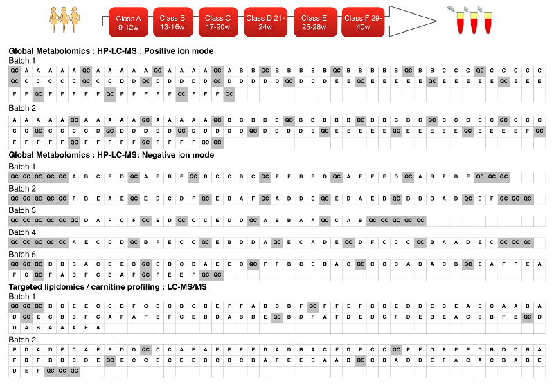 Ultra-detailed description
            of data collection developed during BYOD party