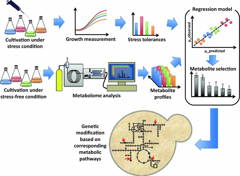 Overview of a metabolomics-based strategy