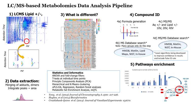 LC/MS-based Metabolomics Data Analysis Pipeline