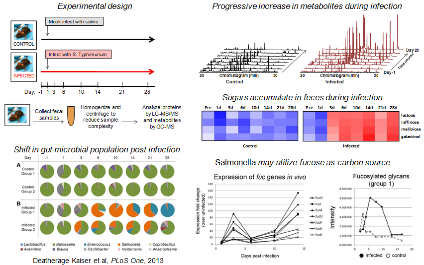 Multi-omics study