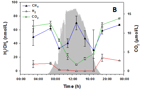 Dissolved CO2, H2 and
              CH4 levels in water overflowing the mat