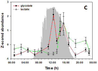 Glycolate and lactate relative
              concentrations
