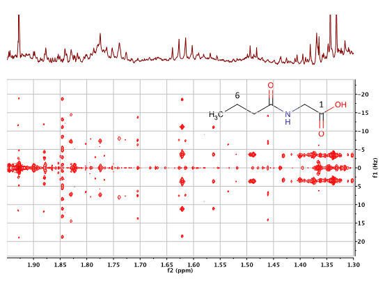 600 MHz

          2D 1H J-resolved NMR spectrum