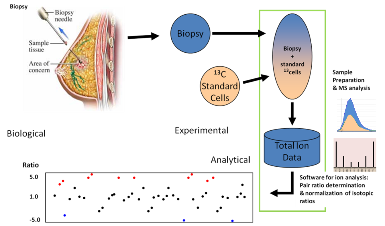 The IROA
        Phenotyping Application