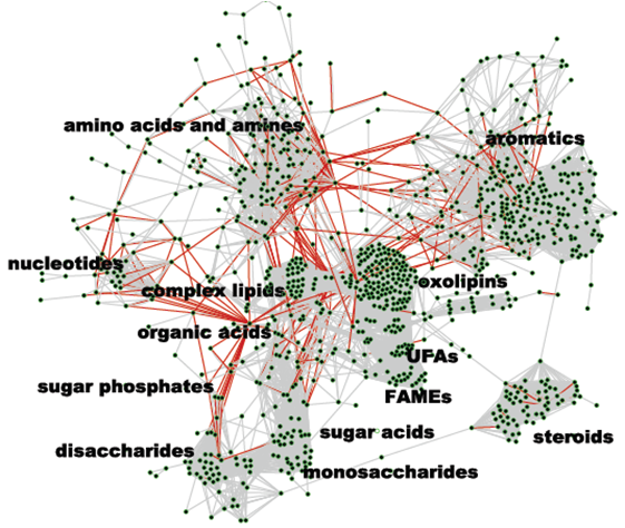 MetaMAPP graph of the over 1,000 compounds for
        which quantitative methods are used in the UC Davis Metabolomics
        Center