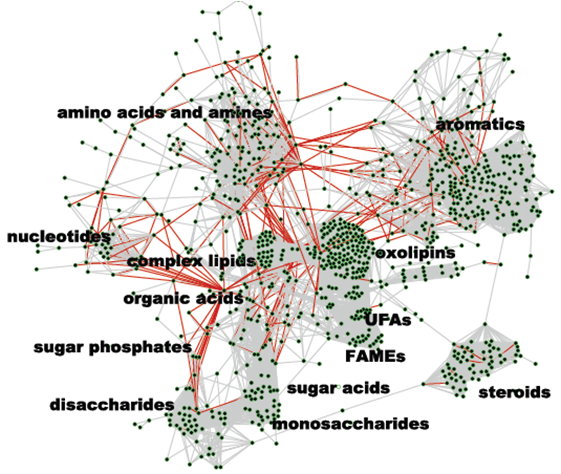 MetaMAPP graph of the over 1,000 compounds for
        which quantitative methods are used in the UC Davis Metabolomics
        Center