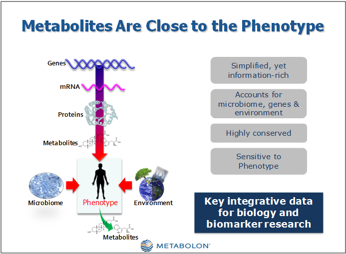 Metabolites are close to the phenotype