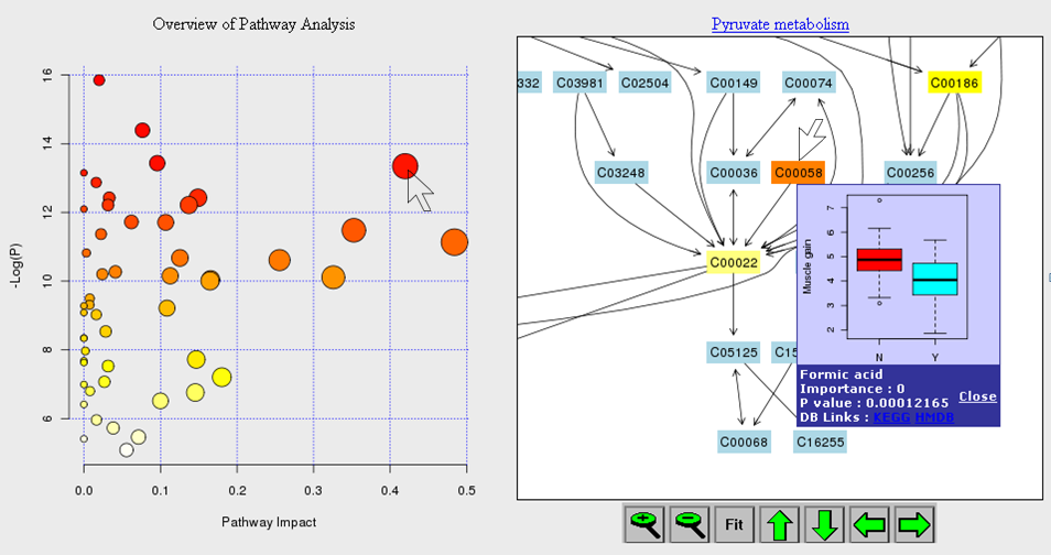 Pathway analysis results & visualization