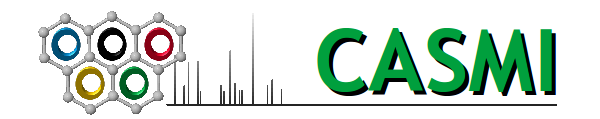 The CASMI Logo