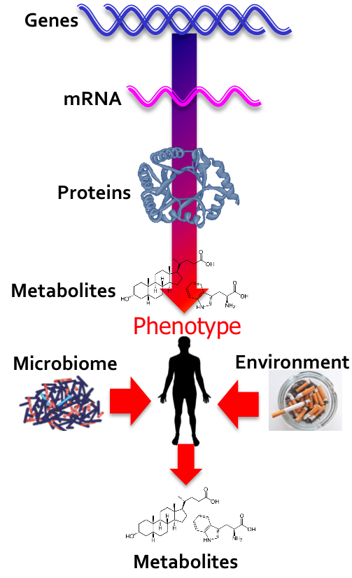 A Surrogate for
        Physiology