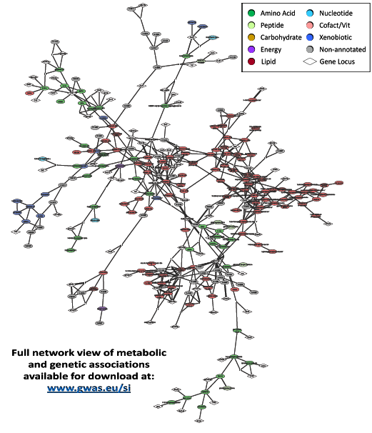 Cytoscape
          rendering of a subset of genetic-metabolic interactions
          identified in 7800 individuals