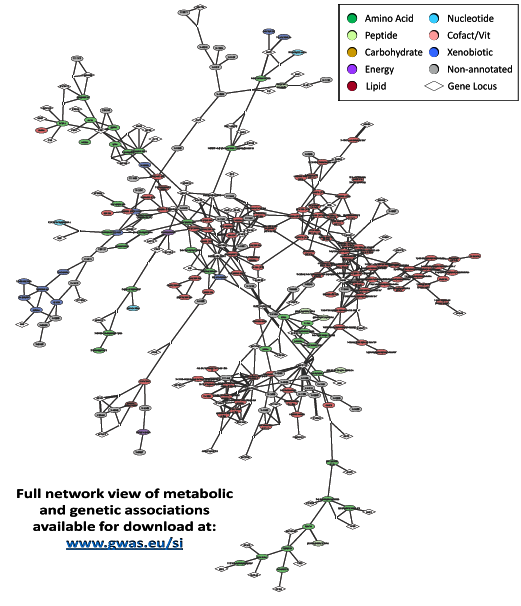 Cytoscape
          rendering of a subset of genetic-metabolic interactions
          identified in 7800 individuals