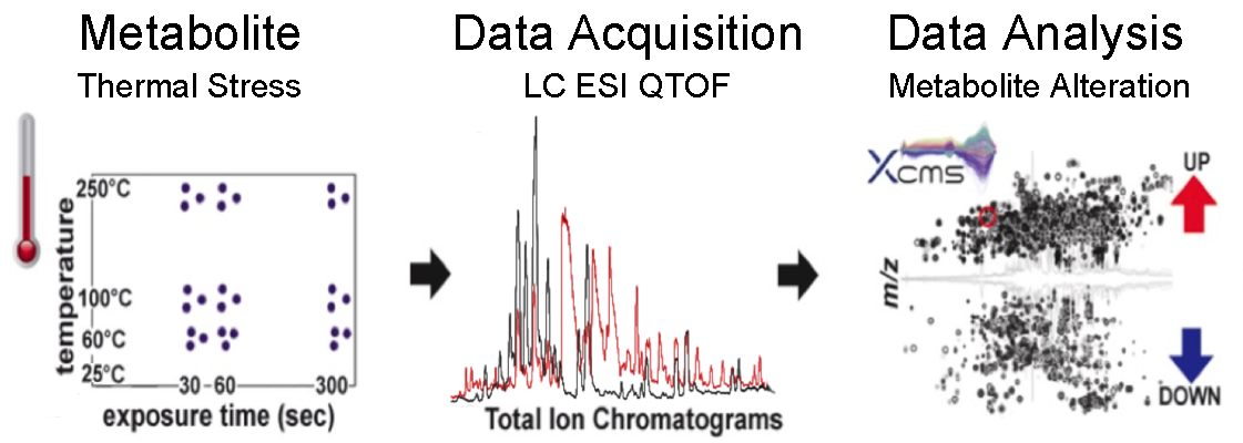 Global molecular profiling
                    approach used to investigate the effect of heating
                    on metabolites