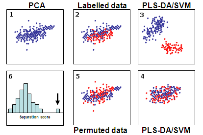 Permutation tests to evaluate the significance of
            separation