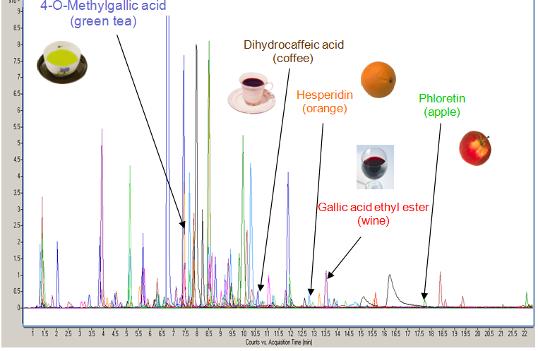 Urinary profile obtained by
        high-resolution mass spectrometry (UPLC-QTof-MS)