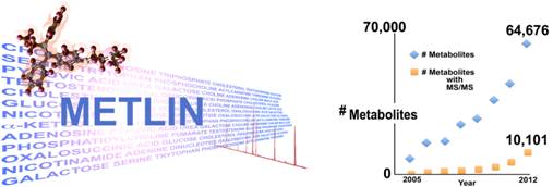 METLIN tandem mass spectrometry database