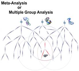 Meta-Analysis or Multiple Group Analysis