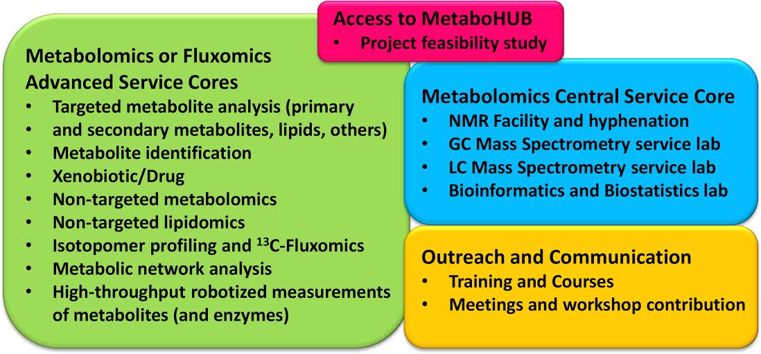 MetaboHUB analytical and bioinformatics
        core and advanced services