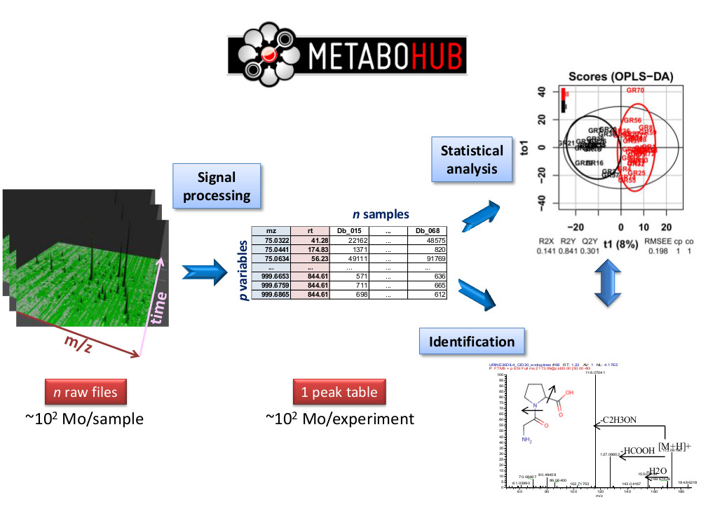 Bioinformatics at
        MetaboHUB