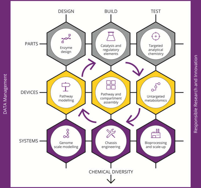 Iterative development cycle of

          synthetic biology used at SYNBIOCHEM