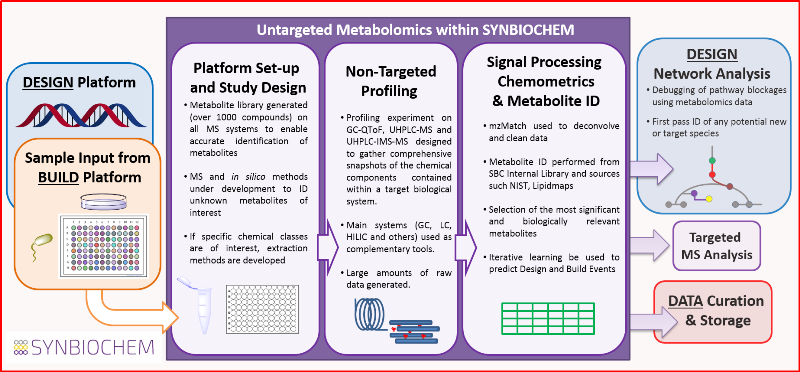 Untargeted
            metabolomics workflow