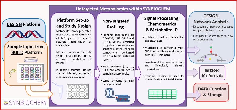 Untargeted

            metabolomics workflow