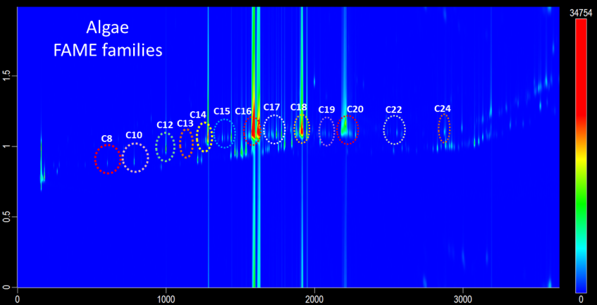 Algae FAME families